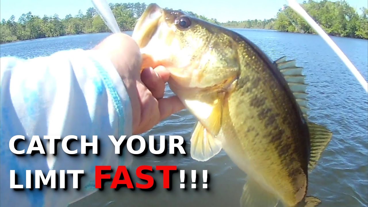 My CHEAT SHEET For QUICKLY Finding Fall Bass!!!!