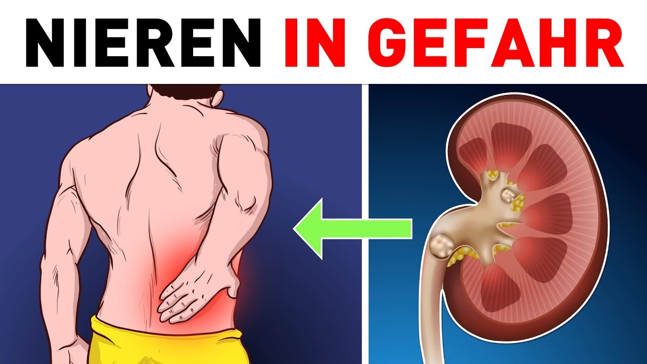 Was Passiert Wenn Die Nieren Nicht Mehr Arbeiten www.youtube.com