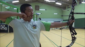 Quanto custa um arco e flecha profissional?