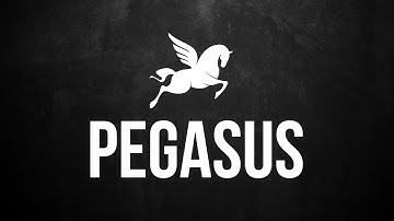 Pegasus Intro Video