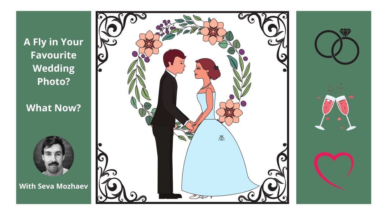 A fly in your favourite wedding photo, what now? Perth Wedding Photography