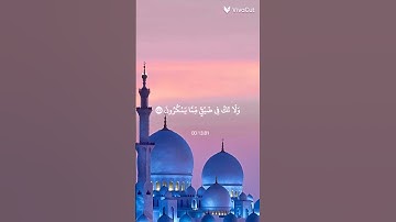 قران كريم # سورة النحل# الأية : 127 