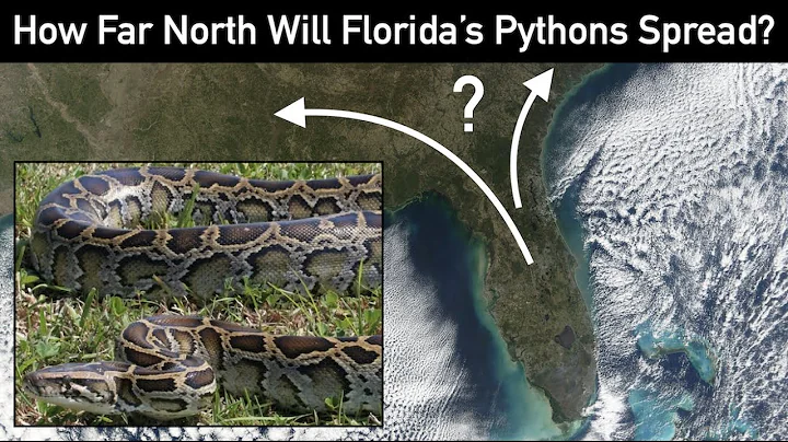 How Far North Will Florida's Pythons Spread? | Invasive Biogeography - DayDayNews