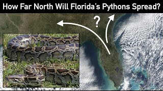 How Far North Will Florida's Pythons Spread? | Invasive Biogeography