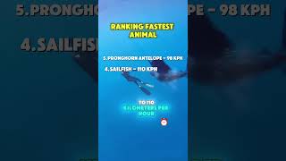 RANKING FASTEST animal #shorts
