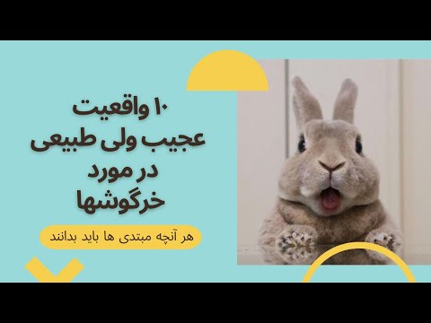 تصویری: عفونت های باکتریایی منتقله از راه جنسی در خرگوش ها