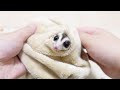 遊ぼうと思ったらこんな感じなので新しいポーチに引っ越しします笑【フクロモモンガ】