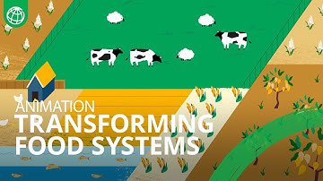 FoodSystems 2030: Transforming Food Systems for People, Planet, and Prosperity