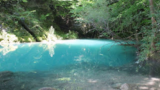 NACEDERO del rio URREDERRA, Navarra.