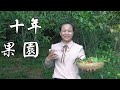 小小百果園也有大秘密！因為9妹的一個夢，9哥種下了這片果！ 【巧婦9妹】