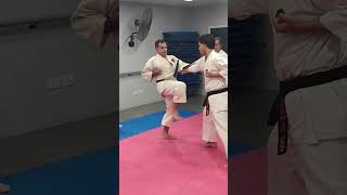 OKINAWA GOJU RYU KARATE DO IOGKF ARGENTINA DOJO RYU KYU WALTER HERRERA SENSEI