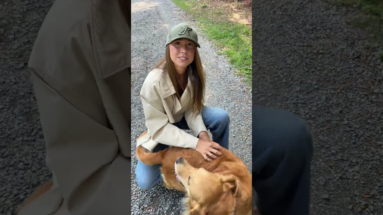 Ich bin ja eigentlich introvertiert, bei Hunden aber direkt ein anderer Mensch #hundevideos #comedy