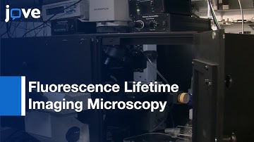 Open Source High Content Analysis Utilizing Automated FLIM l Protocol Preview