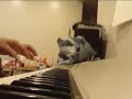 melodia mi vida esta confiado en dios
