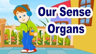 Our Sense Organs | 2nd Std | EVS | English Medium | Maharashtra Board | Home Revise screenshot 4