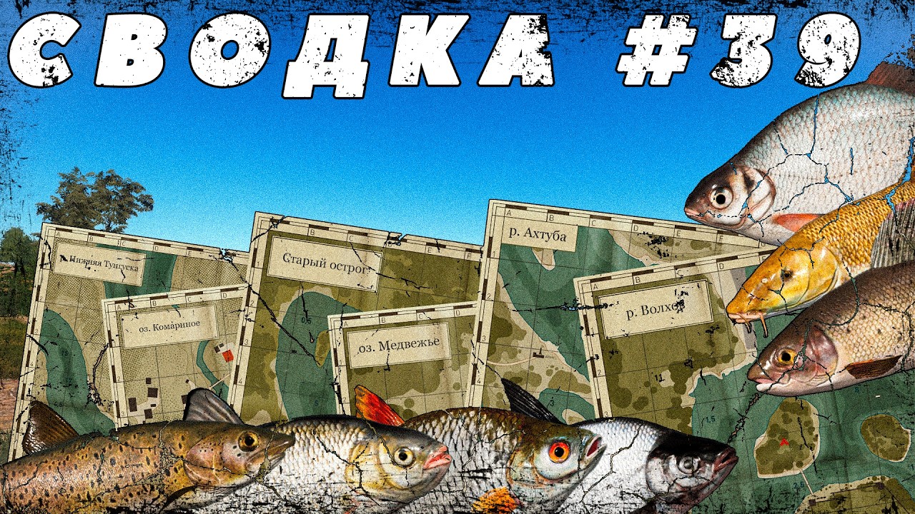 СВОДКА ПО ВОДОЁМАМ №39 | ОСЕТР ВОСТОЧНОСИБИРСКИЙ | ХАРИУС | ЛЕНОК | ГОРБУША | УСАЧ | ГУСТЕРА | НАЛИМ