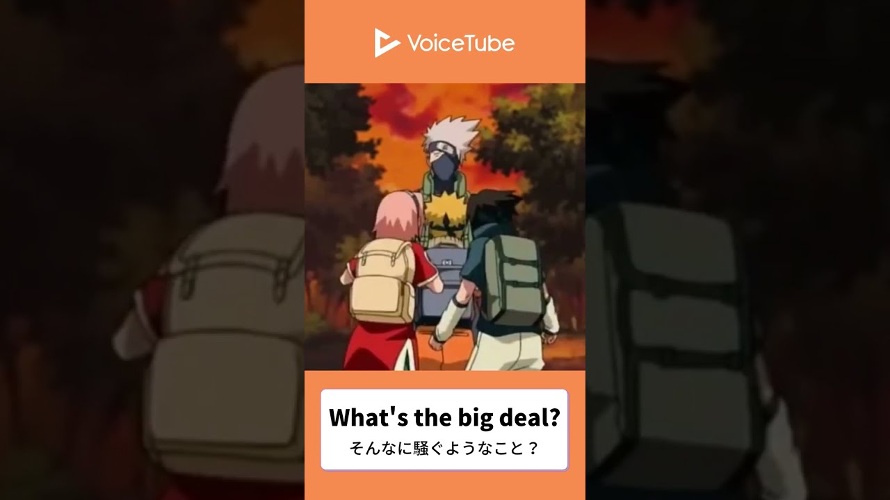  What S The Big Deal Shorts