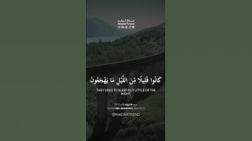 سورة الذاريات - وفي أنفسكم أفلا تبصرون - عبدالله الموسى - مدار ترند MadarTrend