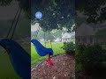A World Of Weather In A Minute