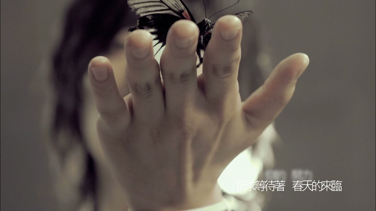 Mayday × 五月天 the Best of 1999-2013 | A-Sketch Official Site