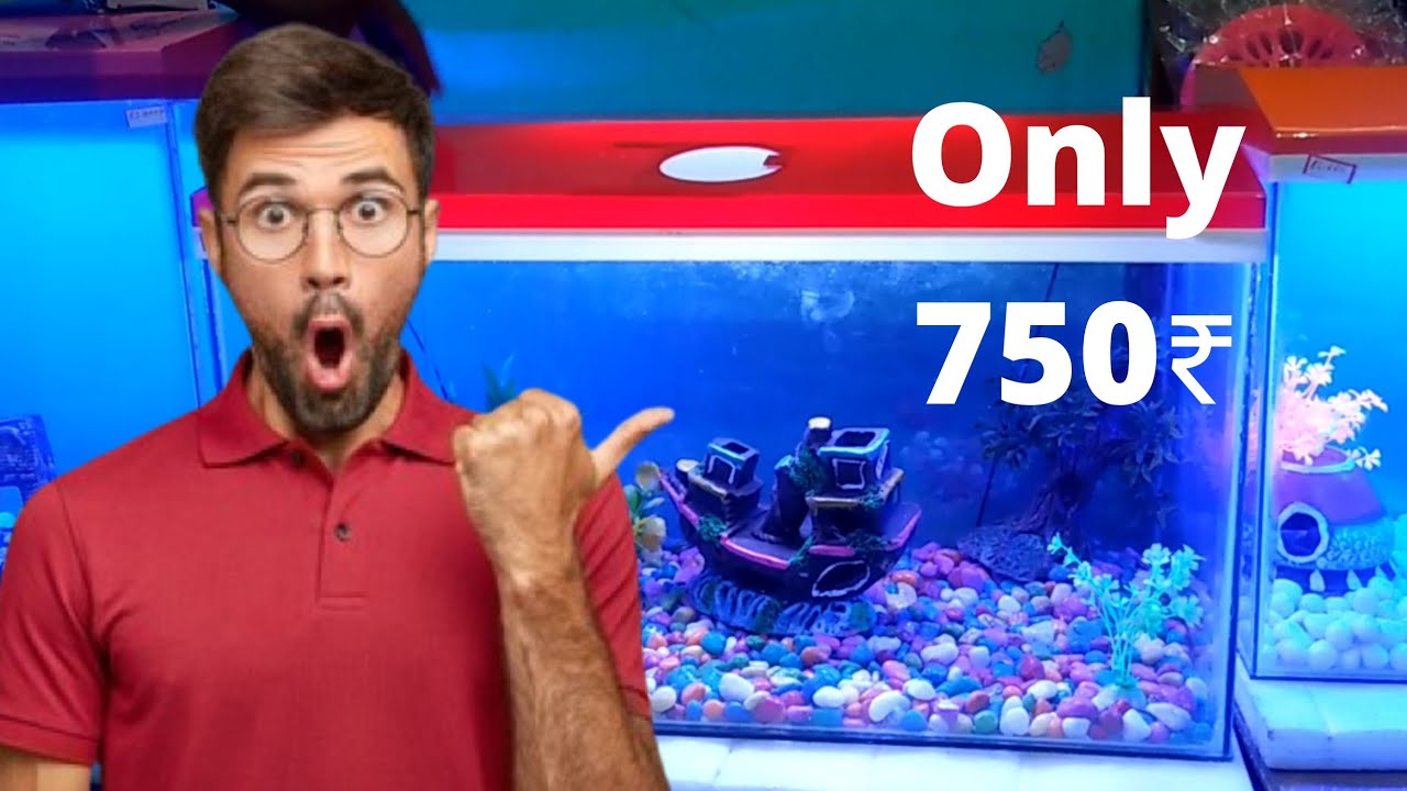 Aquarium Setup Minimum Budget.