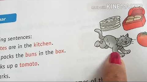 Ch-3 Going for a Picnic