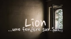 LION juin 2020 ~ Il s'agit de gagner la partie !!