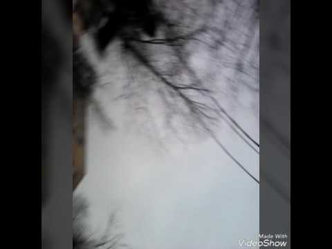 Уронил телефон в воду Уронил телефон в воду