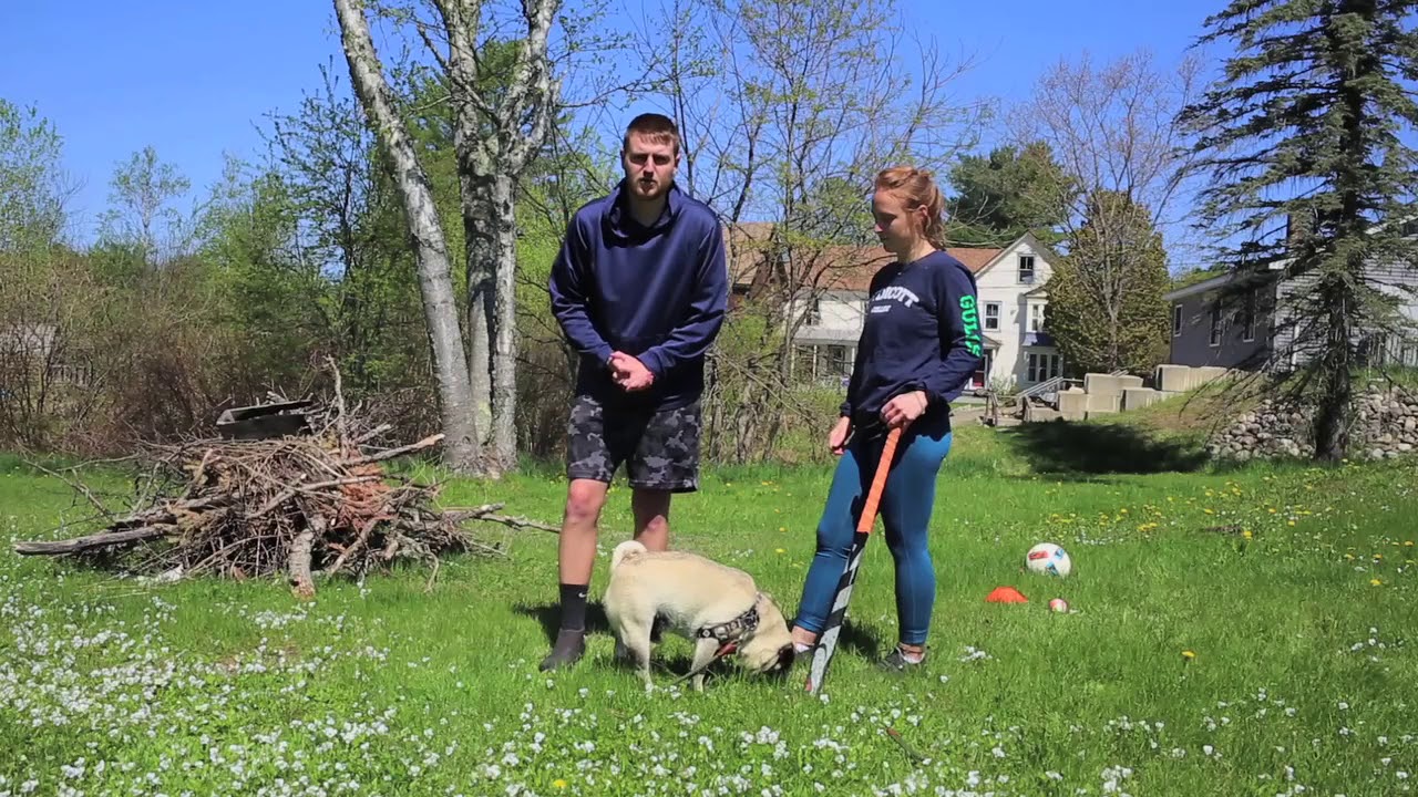 Daily Drills 57 YouTube