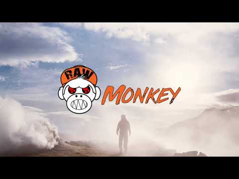 Psyfiix-Returned Fiix (PREMIERE) (XTRA RAW) [MONKEY TEMPO]
