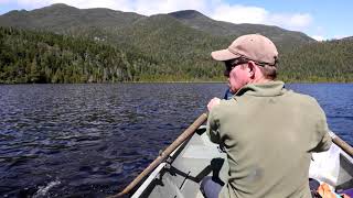 Brook trout return to iconic lake