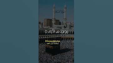 سورة الفجر                                                    للقارئ الشيخ د. ياسر الدوسري