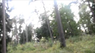 Strange sounds from Finnish sky - August 2013