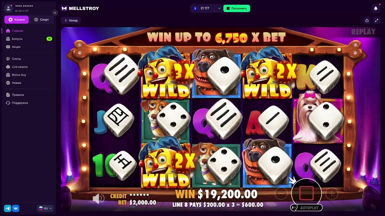 Мелстрой казино — Боров  занёс в The Dog House Dice Show