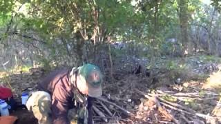Starting fire with cattail