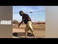 ULTIMATE HOOD VINES COMPILATION #18 || 2018