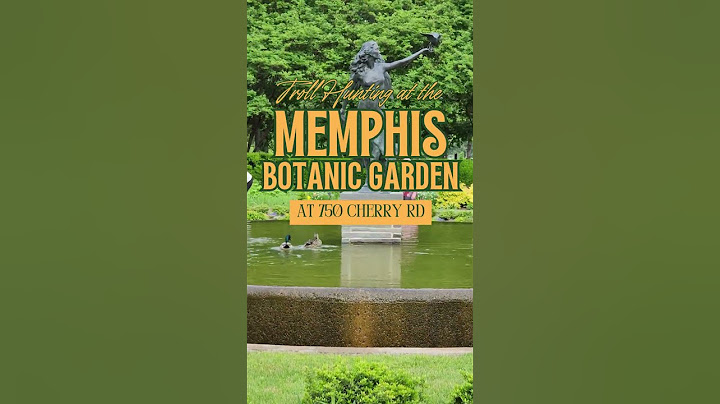 24 Hours In Memphis, Tennessee