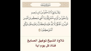 #تلاوة #الشيخ توفيق الصايغ من #سورة يوسف