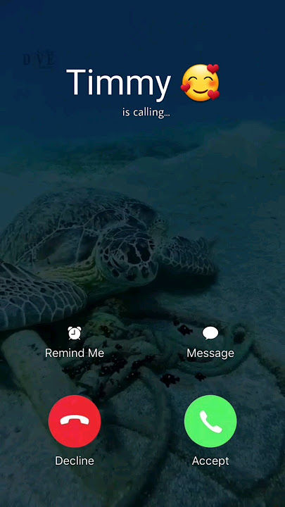 Timmy Call me 🥰 #ringtone #sadringtone #bgmringtone #smartphone #ringtones #callr #love #answer