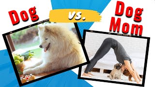 Dog Mom vs Your Dog Fitness Challenge 2024 To Get In Shape