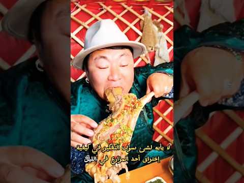 علقمة و تحطيم الرقم القياسي لأبا حربشة اكل طبخ لحم اكلتك     