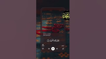 سوره النبا قري لي عبد السلام اليوسف #المصحف
