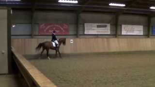 Gørklintgårds Donna Sia og Josephine Knudsen - MB2 Skåde d. 29/12-13