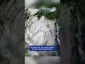 Typhoon Matmo Hits China