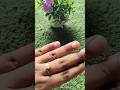 Diy korean ring 💍😱#diy #shortvideo #aestheic #trending #craft
