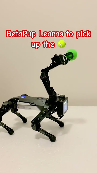 BetaPup Learns to Pick Up the Ball with AI! 🐶🤖 | Episode 2 #stem #robot #ai  #shorts #robodog