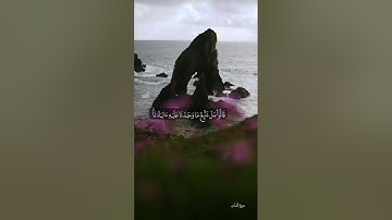 أَلَم تَرَوا أَنَّ اللَّهَ سَخَّرَ لكم مَّا في السمَاوَاتِ وَمَا فِي الْأَرْضِ || القارئ #فارس_عباد