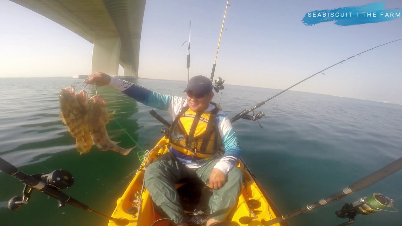 kayak fishing: groupers on live bait - youtube