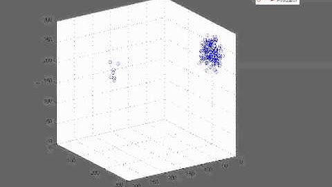 Flocking boids without predator (rotating view)