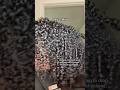 One product wash and go #curlyhair #washandgo #blackgirlhair #naturalhair #thedoux
